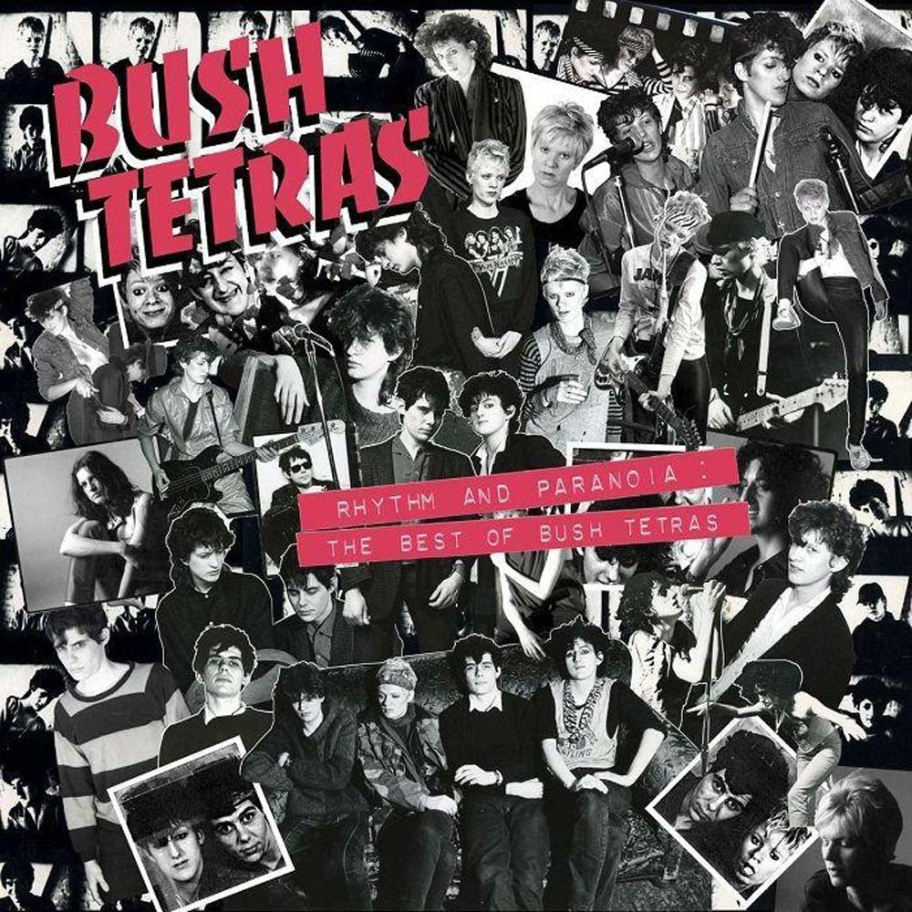 Bush Tetras Rhythm And Paranoia: The Best Of Bush Tetras Vinyl LP Box Set 2021 - VINYL BOX SETS