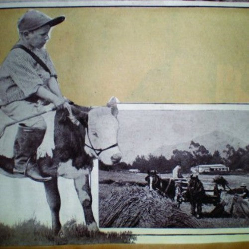 That Ghost: I Crossed Out the Options - VINYL LP