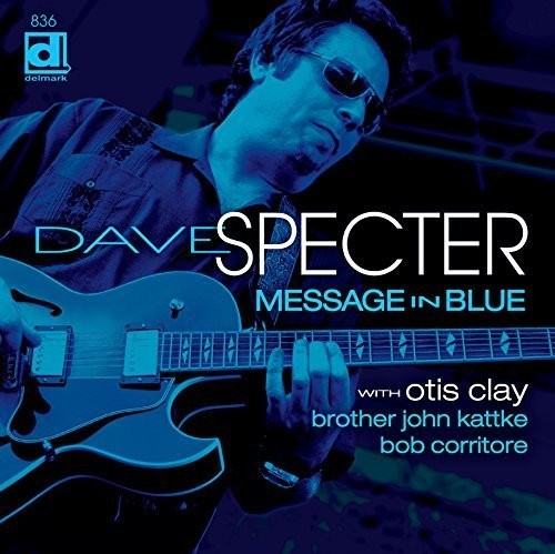 Dave Specter: Message in Blue - VINYL LP