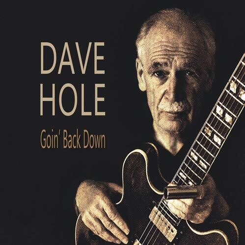 Dave Hole: Goin' Back Down - VINYL LP