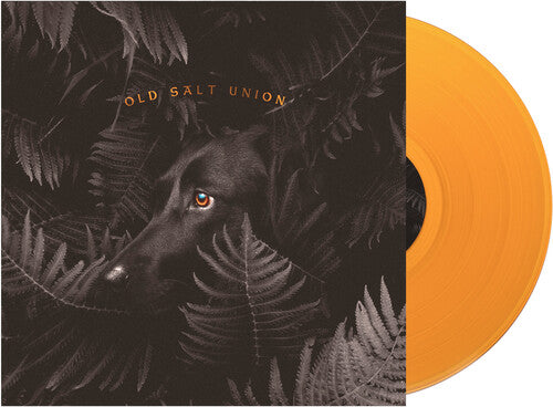 Old Salt Union: Where The Dogs Don't Bite - VINYL LP