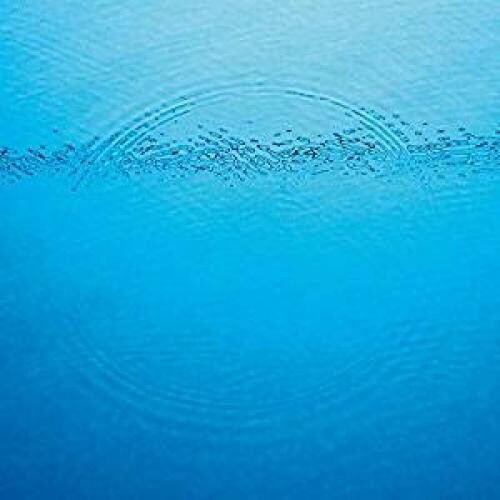 Caribou: Suddenly - VINYL LP