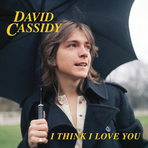 David Cassidy: I Think I Love You - VINYL LP
