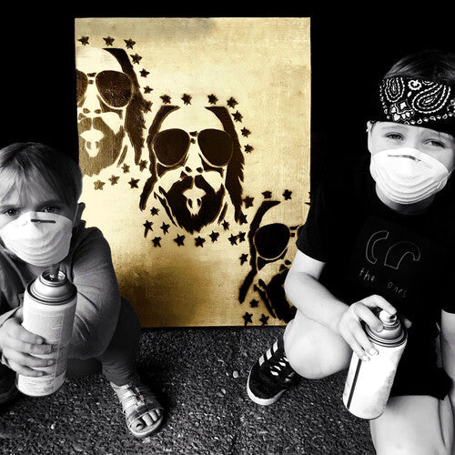 Brian Wright: Lapse Of Luxury - VINYL LP