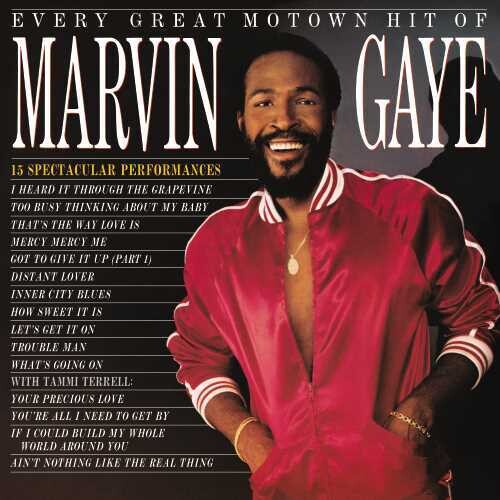 Marvin Gaye: Every Great Motown Hit Of Marvin Gaye: 15 Spectacular Performances - VINYL LP