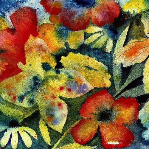 Adrianne Lenker: Songs And Instrumentals - VINYL LP