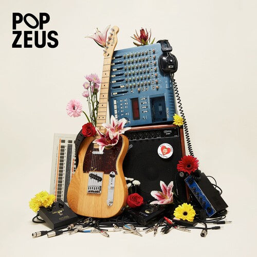 Pop Zeus: This Doesn't Feel Like Home (Unreleased Demos 2011-2014) - VINYL LP