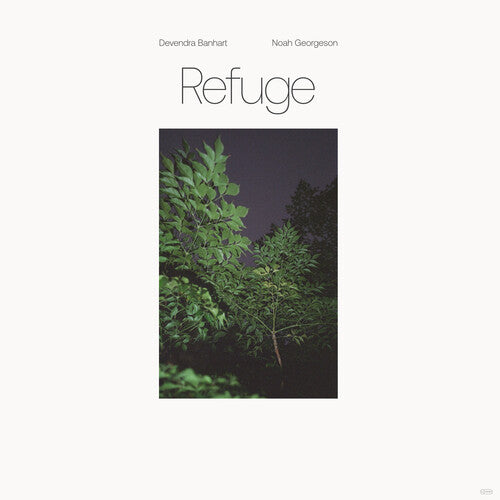 Devendra Banhart: Refuge (Blue Seaglass Wave Translucent Vinyl) - VINYL LP
