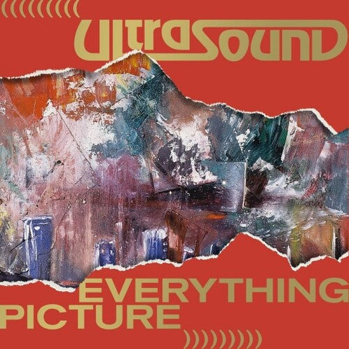 Ultrasound: Everything Picture - VINYL LP