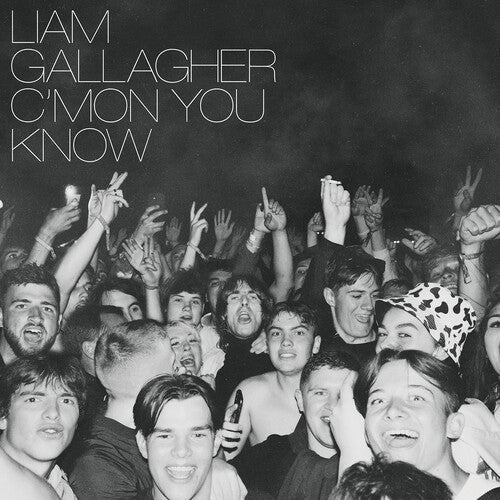 Liam Gallagher: C'mon You Know - VINYL LP