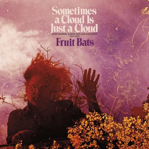 Fruit Bats: Sometimes a Cloud Is Just a Cloud: Slow Growers, Sleeper Hits and Lost Songs (2001–2021) - VINYL LP