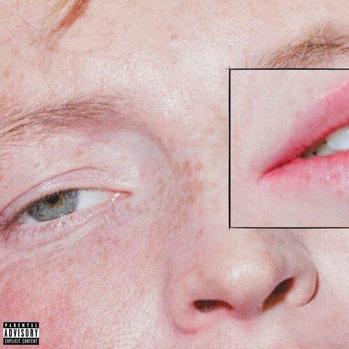 Greeting Committee: Dandelion - VINYL LP