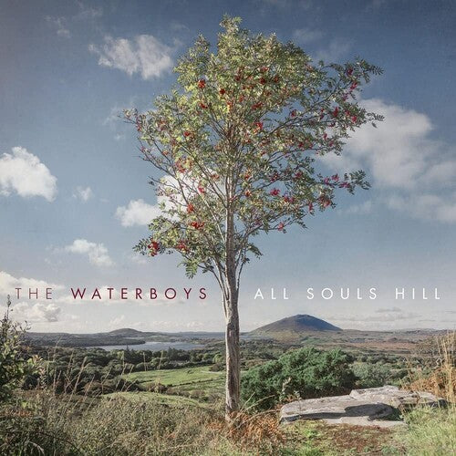 The Waterboys: All Souls Hill - VINYL LP