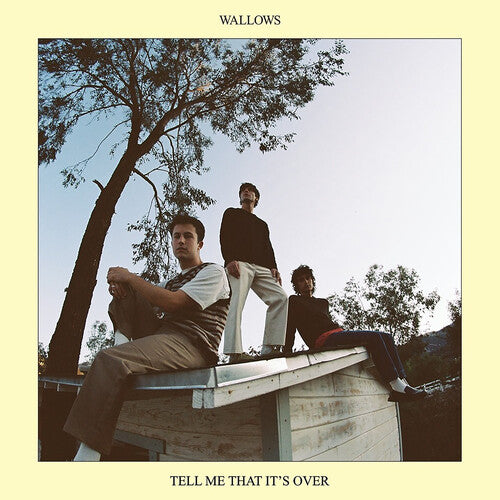 Wallows: Tell Me That It's Over - VINYL LP