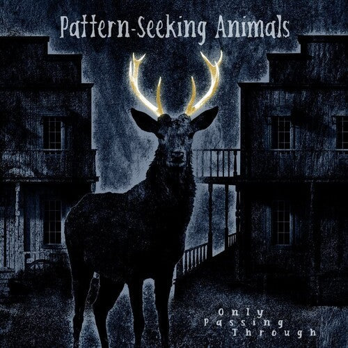 Pattern-Seeking Animals: Only Passing Through - VINYL LP