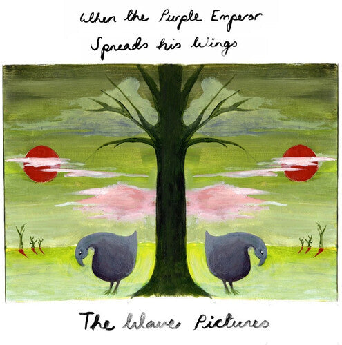 The Wave Pictures: When The Purple Emperor Spreads His Wings - Limited Purple & Pink Sparkle Colored Vinyl - VINYL LP