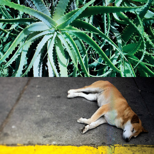 Steve Bates: All The Things That Happen - VINYL LP