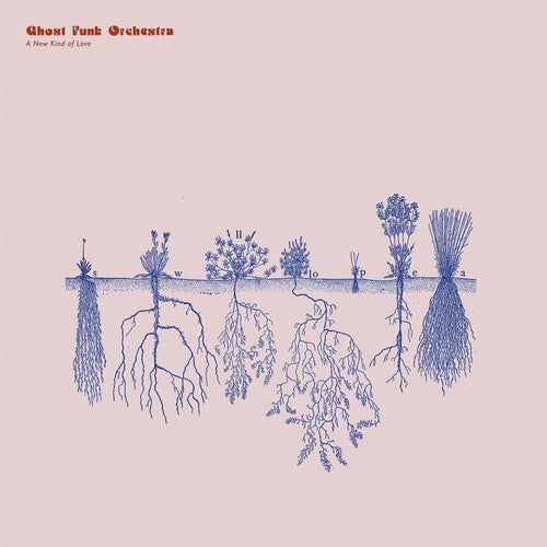 Ghost Funk Orchestra: A New Kind of Love - VINYL LP