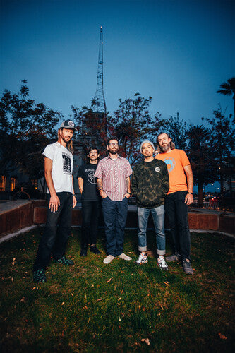 AJJ: Disposable Everything - VINYL LP