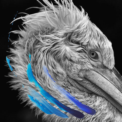 Lies: Lies - Metallic Silver - VINYL LP