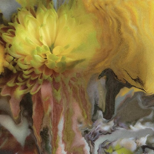 Parker Millsap: Wilderness Within You - VINYL LP