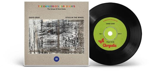 David Gray: The Endless Coloured Ways: The Songs of Nick Drake - David Gray - VINYL LP