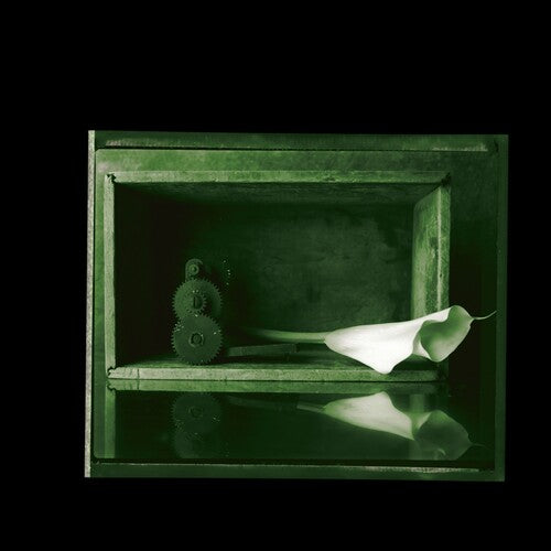 Jad Fair & Danielson: Elegies - VINYL LP