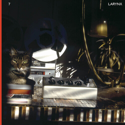 Lary 7: Larynx - VINYL LP