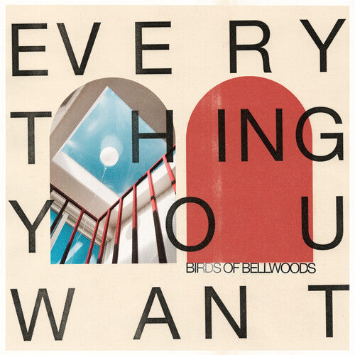 Birds of Bellwoods: Everything You Want - VINYL LP