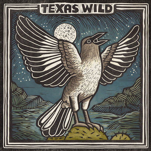 Various Artists: Texas Wild (Various Artists) - VINYL LP