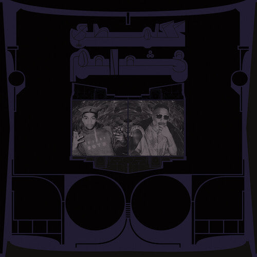 Shabazz Palaces: Exotic Birds of Prey - VINYL LP