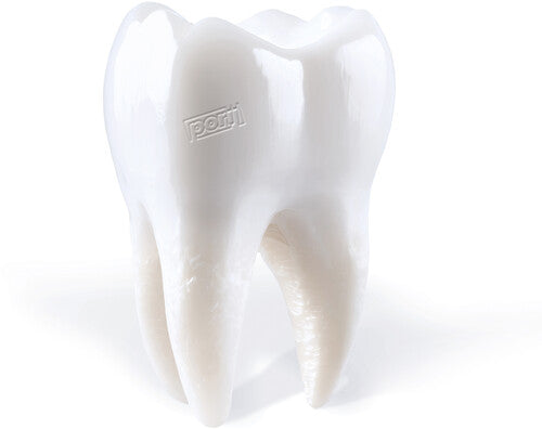 Porij: Teething - VINYL LP