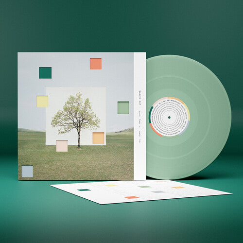 Washed Out: Notes From a Quiet Life - VINYL LP