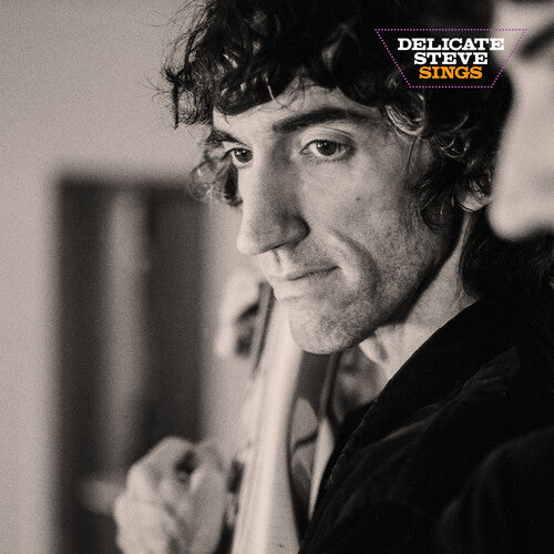 Delicate Steve: Delicate Steve Sings - VINYL LP