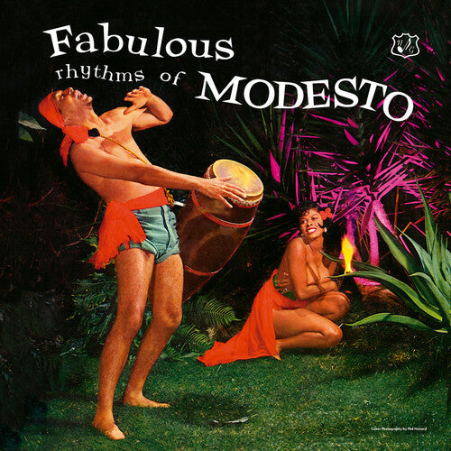 Fabulous Rhythms of Modesto - VINYL LP