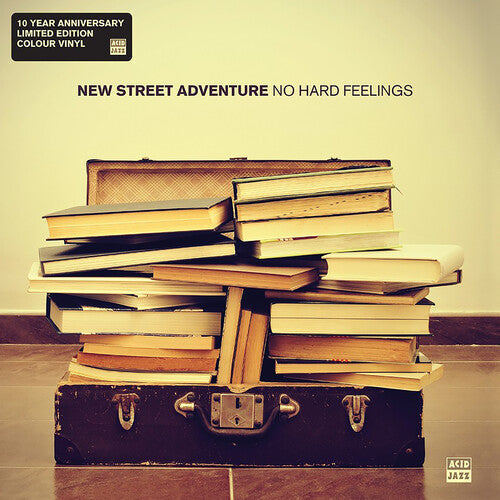 New Street Adventure: No Hard Feelings - VINYL LP