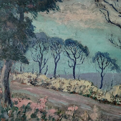 Advance Base: Horrible Occurrences - VINYL LP