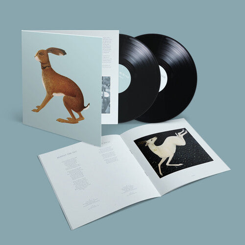 Vashti Bunyan: Lookaftering - Expanded - VINYL LP