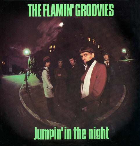 Flamin' Groovies: Jumpin' In The Night - VINYL LP