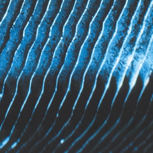 Monolake: Gravity - VINYL LP