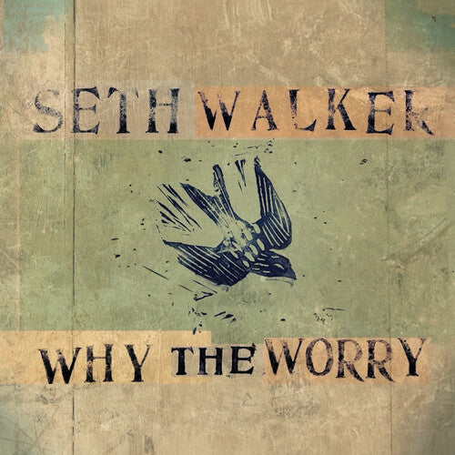 Seth Walker: WHY THE WORRY - VINYL LP