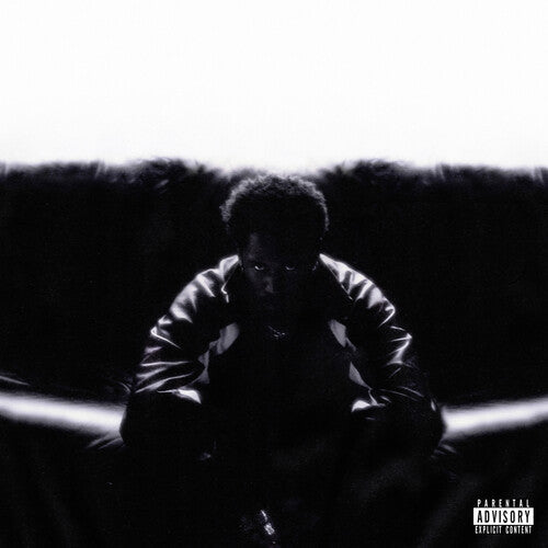 KAYTRANADA: Timeless - VINYL LP