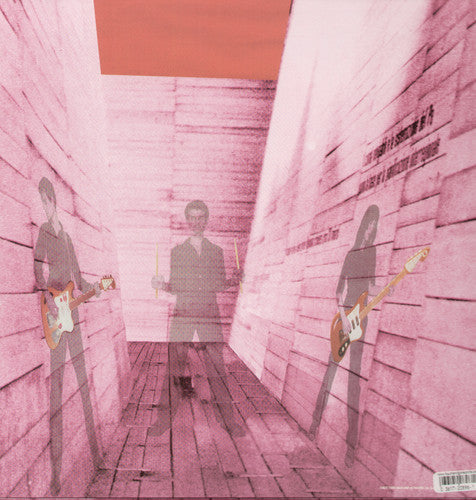 Blonde Redhead: In An Expression of the Inexpressible - VINYL LP