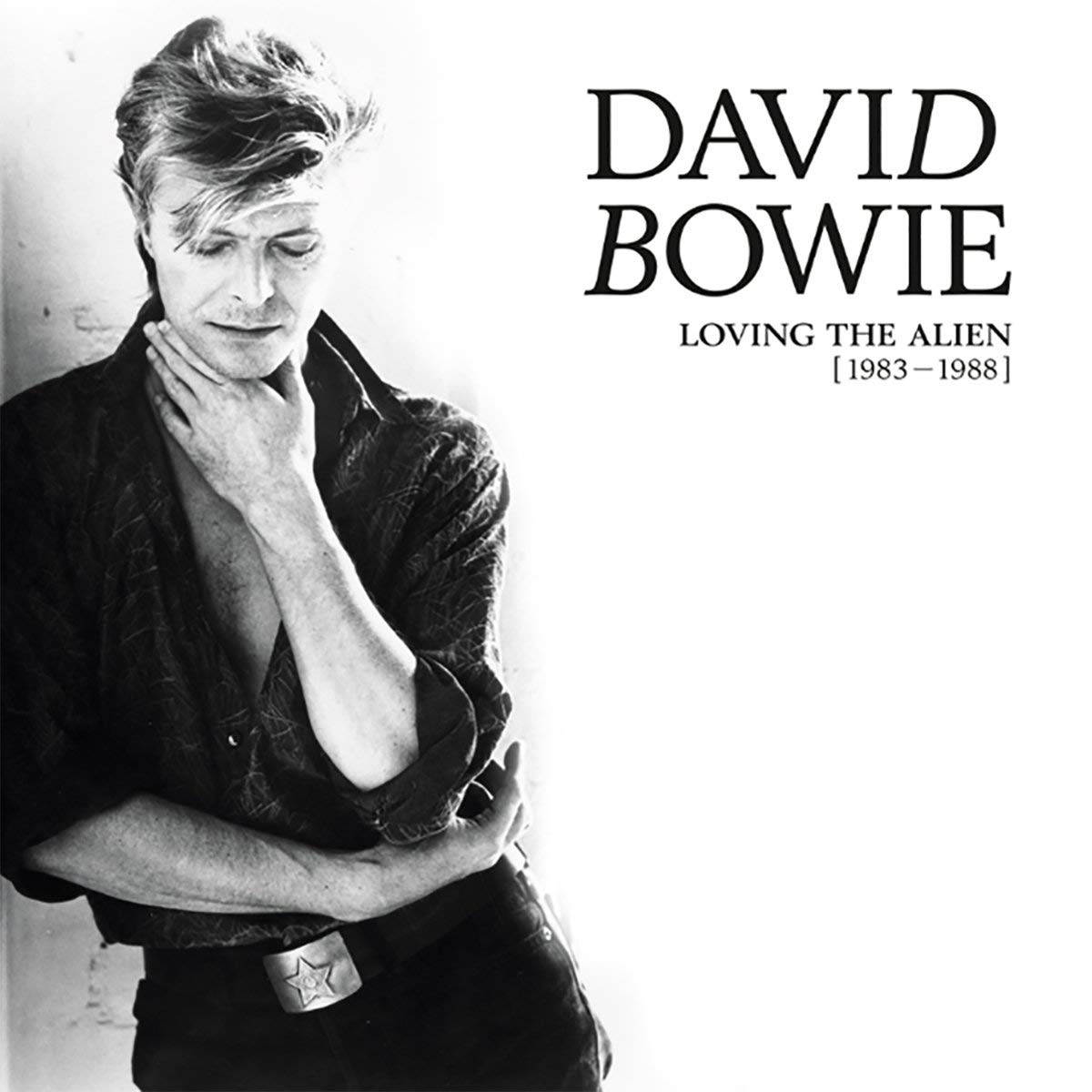 David Bowie Loving the Alien 15 Vinyl LP Box Set New 2018 - VINYL BOX SETS