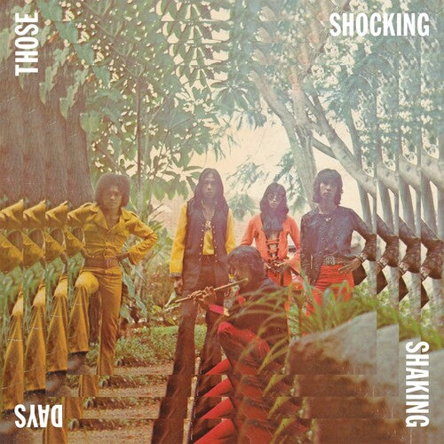 Various Artists: Those Shocking Shaking Days - VINYL LP