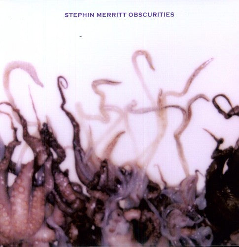 Stephin Merritt: Obscurities - VINYL LP