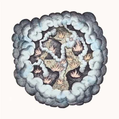 TW Walsh: Songs of Pain and Leisure - VINYL LP