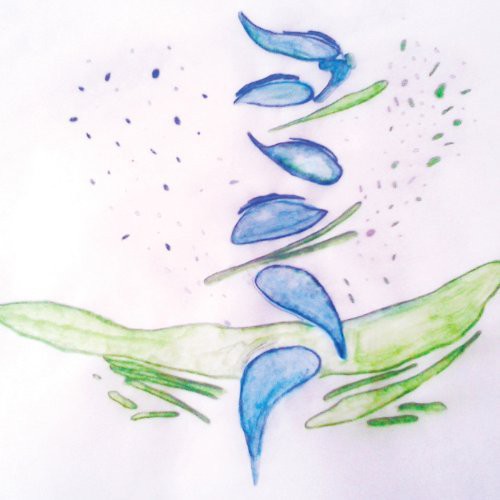 Fis: Iterations - VINYL LP