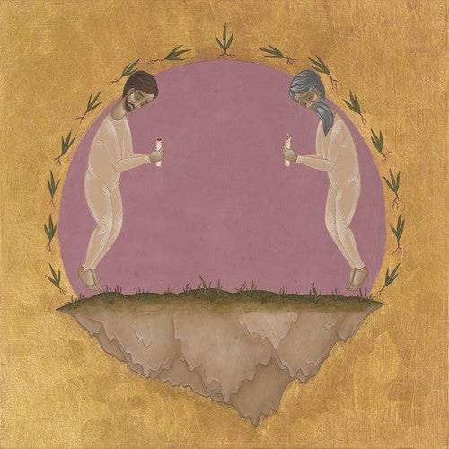 Hospital Ships: The Past Is Not A Flood - VINYL LP