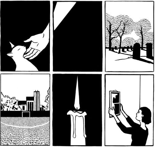 PAWS: No Grace - VINYL LP